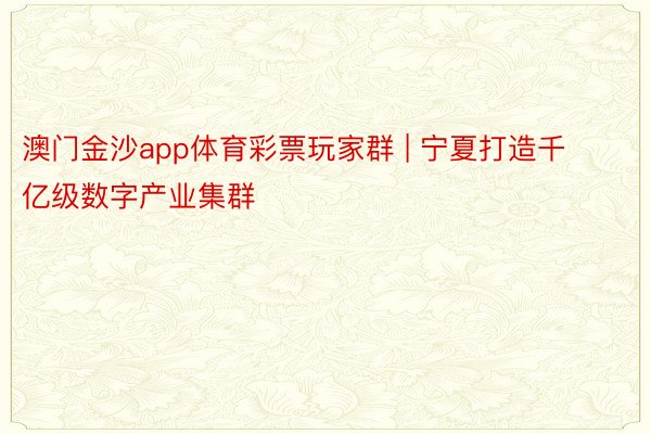 澳门金沙app体育彩票玩家群 | 宁夏打造千亿级数字产业集群