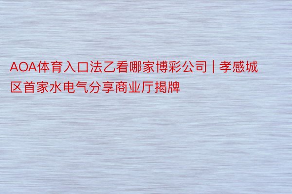 AOA体育入口法乙看哪家博彩公司 | 孝感城区首家水电气分享商业厅揭牌