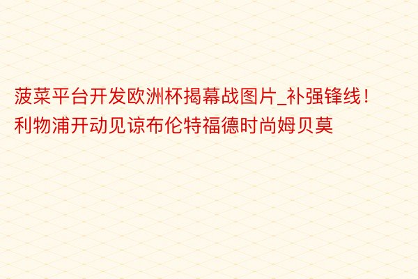 菠菜平台开发欧洲杯揭幕战图片_补强锋线！利物浦开动见谅布伦特福德时尚姆贝莫